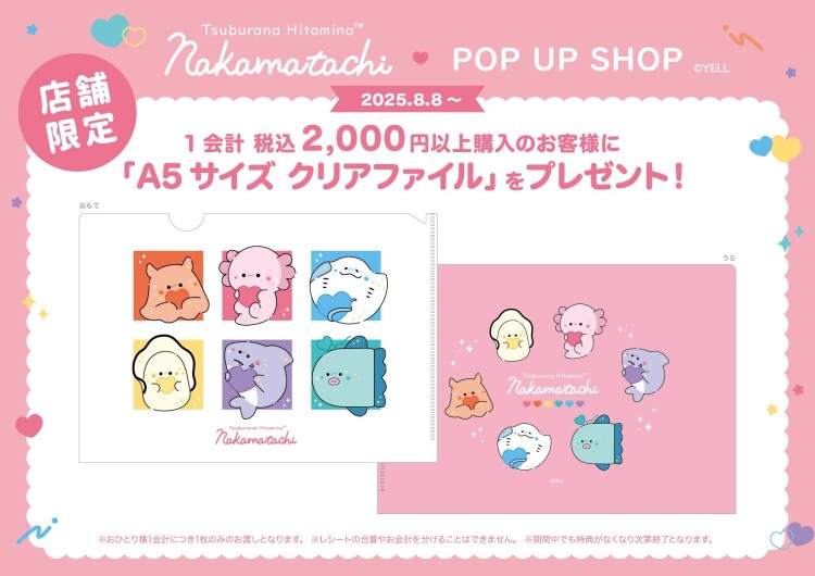 つぶらな瞳のPOPUP in 東京駅