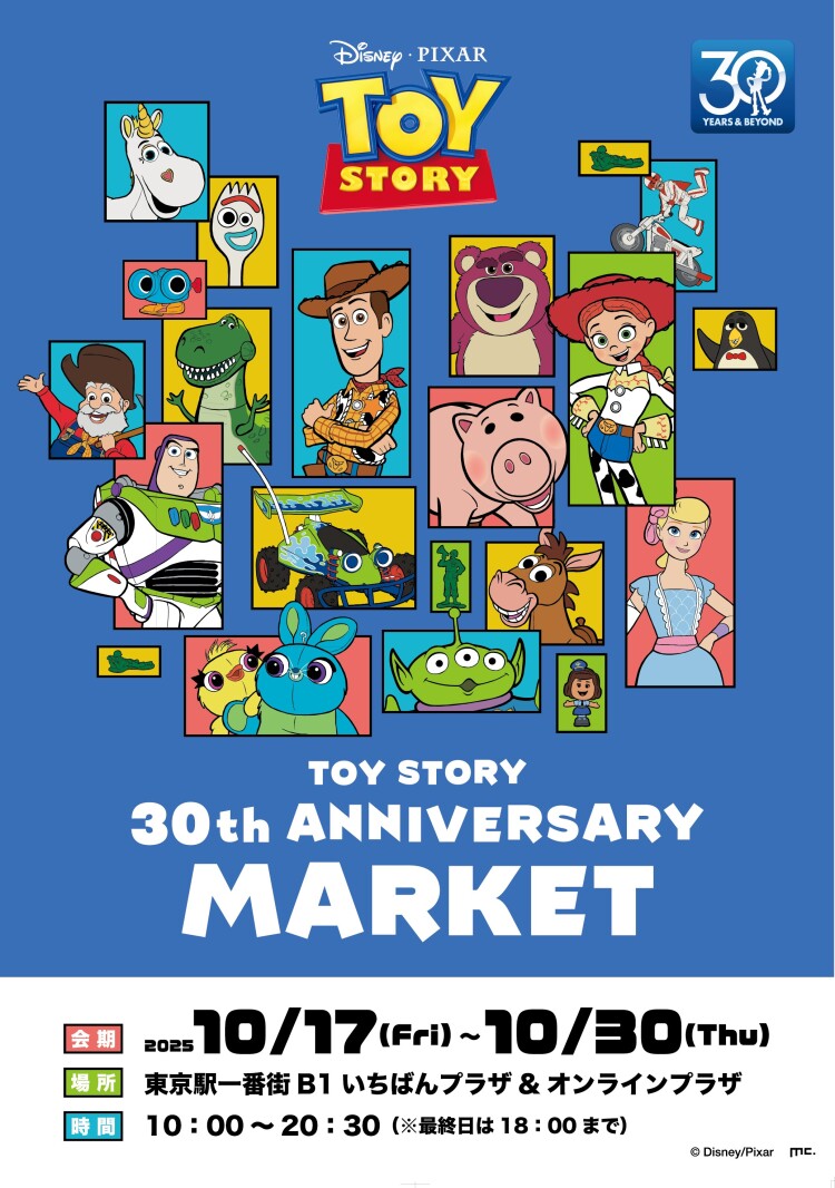 TOY  STORY  30th  ANNIVERSARY MARKET